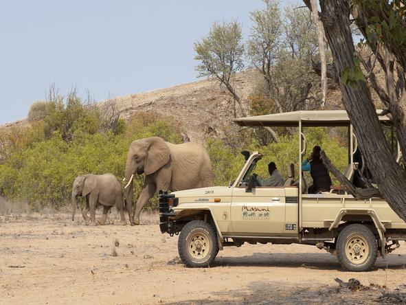 Mowani Mountain Camp - Game Drive 